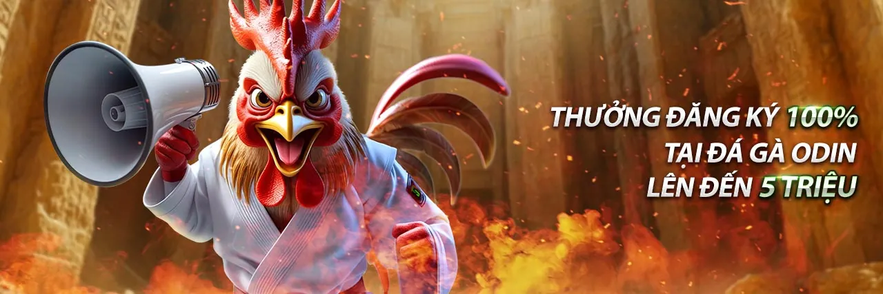 Biện pháp an toàn và tuân thủ five88