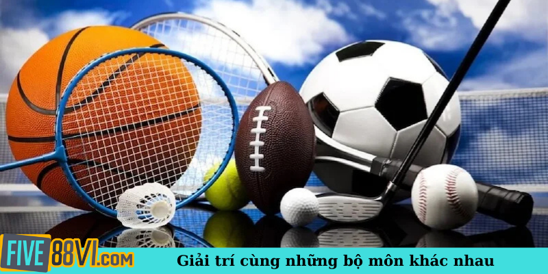 Giải trí cùng những bộ môn khác nhau